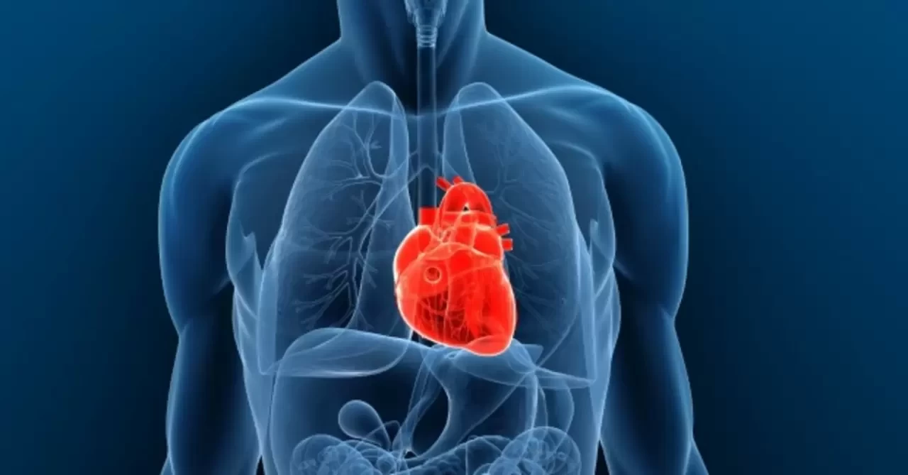 Uzmanı, kalp sağlığını korumak için bilinmesi gerekenleri sıraladı