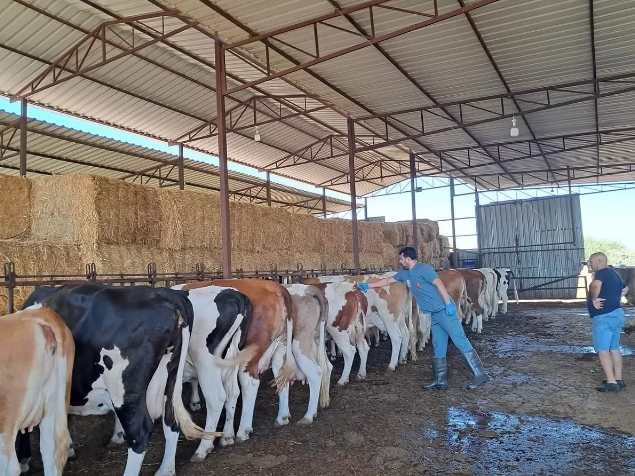 Kuyucak'ın 13 mahallesinde giriş çıkışlar yasaklandı