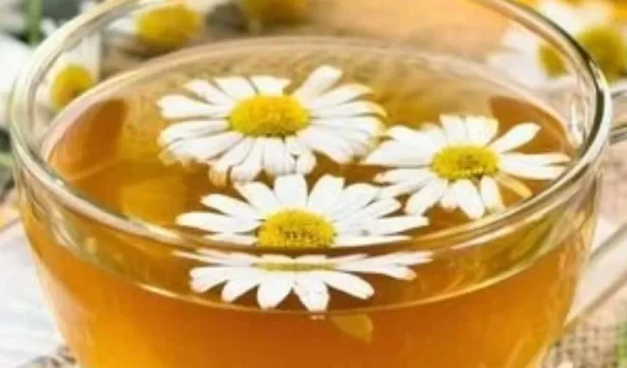 Göz yorgunluğuna karşı papatya çayı