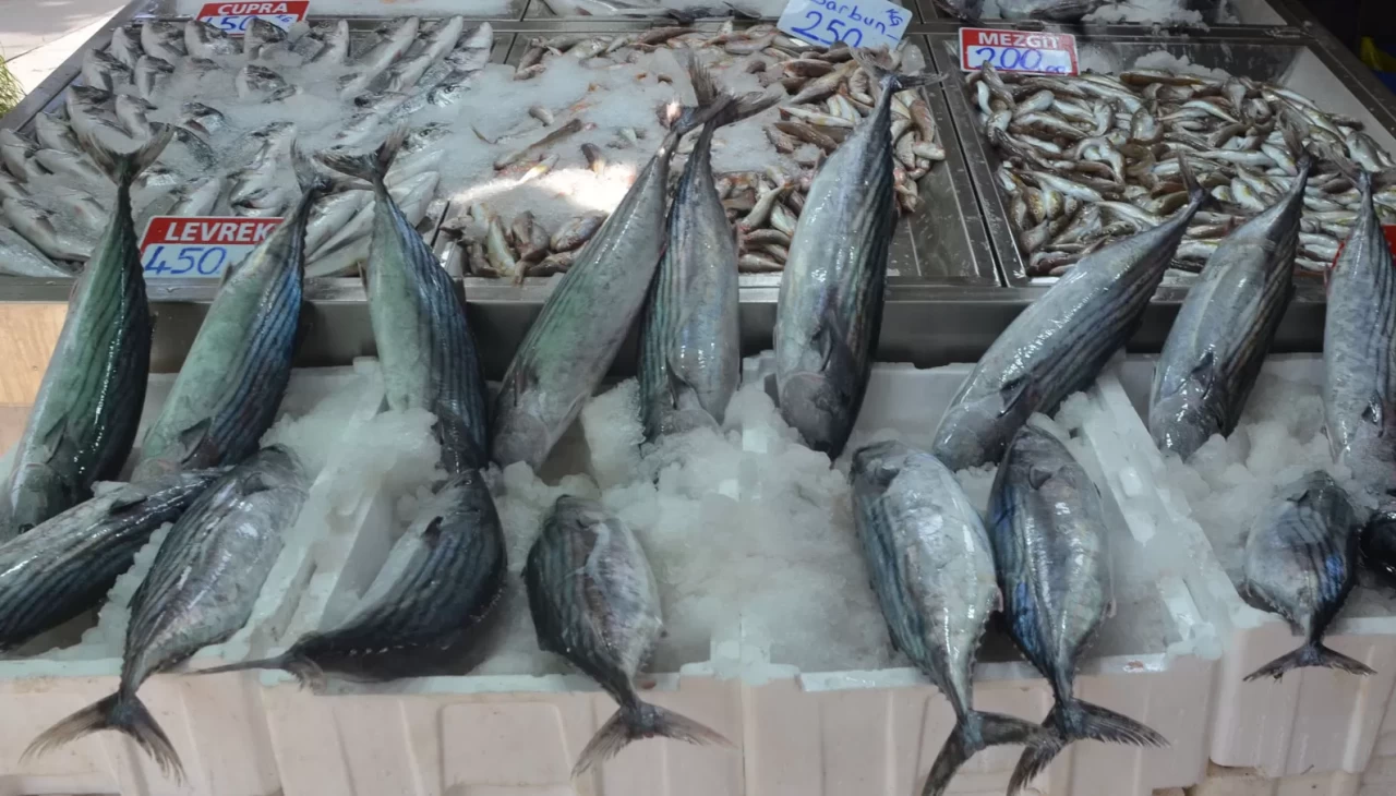 Sinop’ta torik bolluğu: Tanesi 800 TL