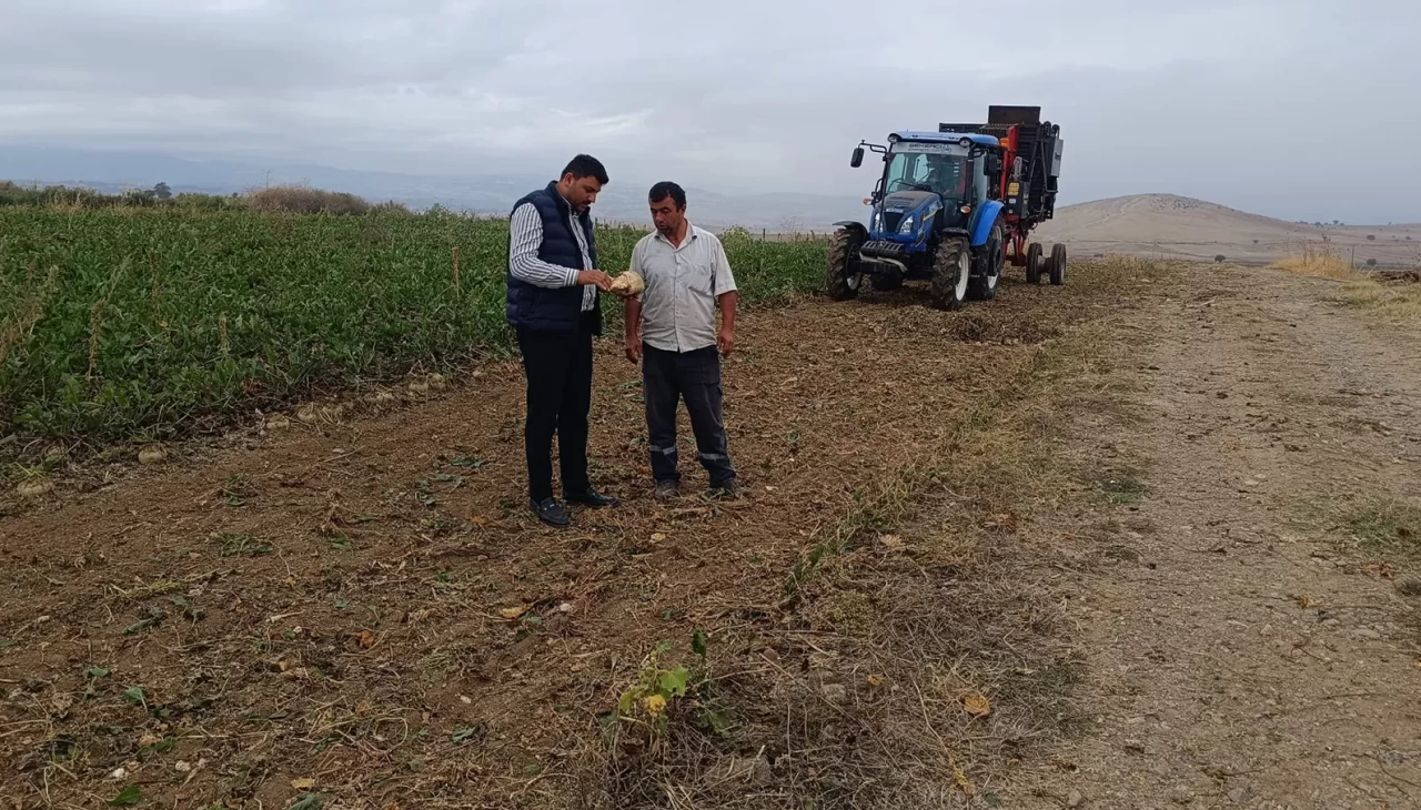 Şeker pancarı hasadı başladı