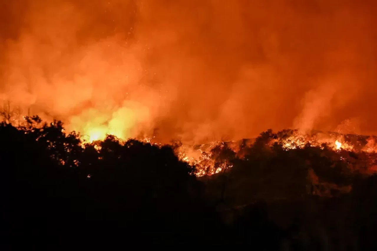 ABD’de orman yangını: 13 bin dönümlük arazi kül oldu