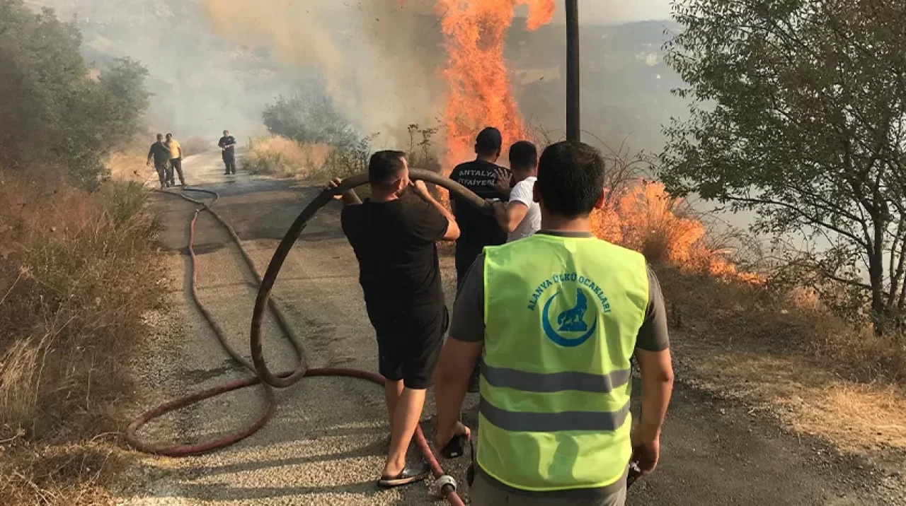 Ülkü Ocakları Alanya Teşkilatı, orman yangınlarına müdahalede görev başında