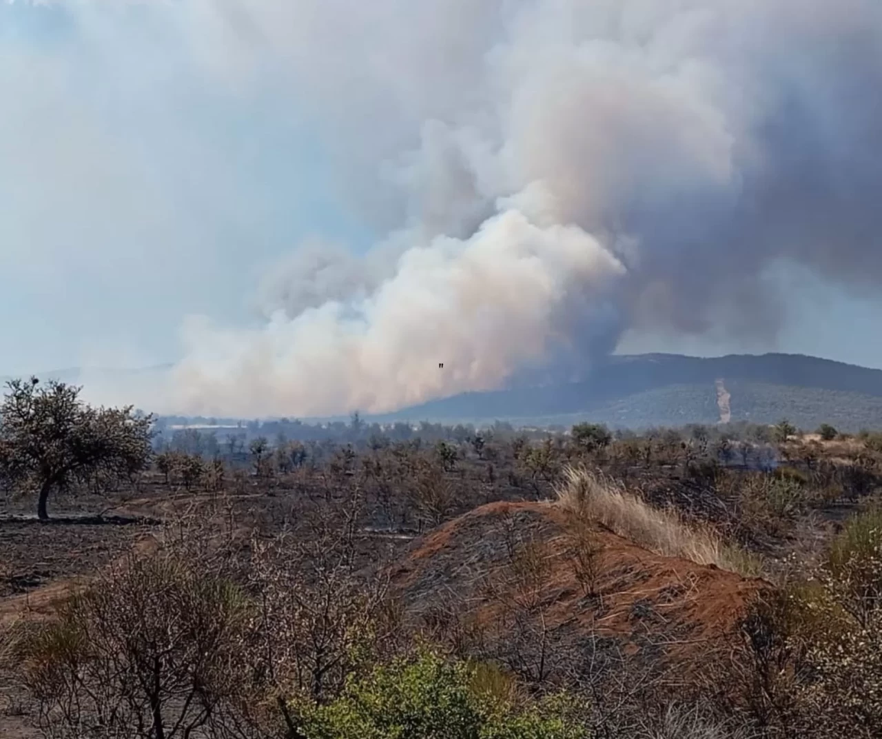 Çanakkale’de tarım arazisinde korkutan yangın: Havan ve karadan müdahale sürüyor