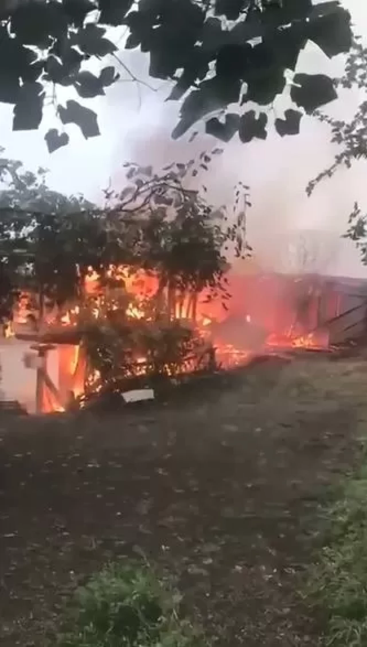 Artvin'de yangın paniği: 4 ev küle döndü