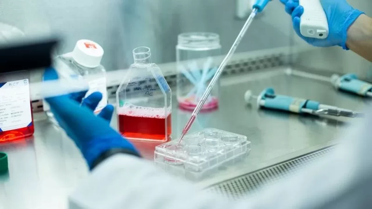 Sağlıkta yerli üretim dönemi! 'Ulusal Doku ve Hücre Bankacılığı' başlıyor