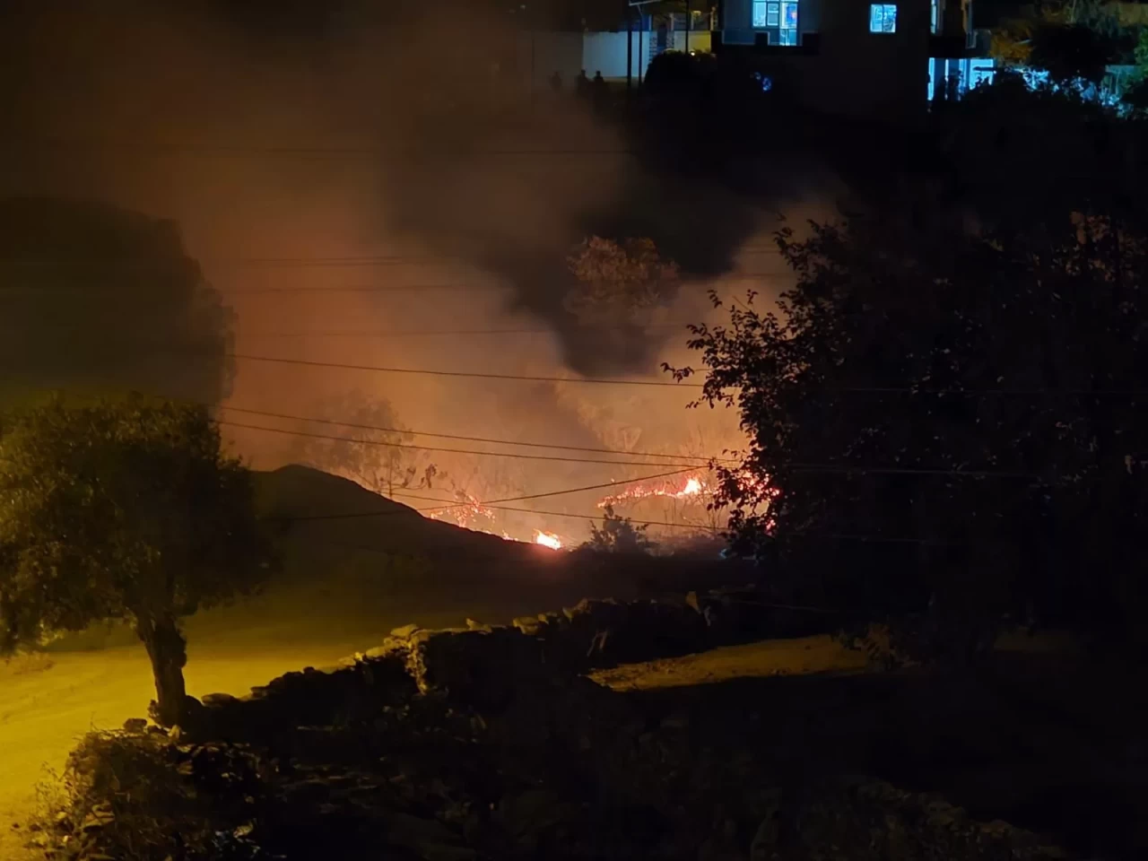 Milas'ta çıkan sazlık yangını hızlı müdahaleyle kontrol altına alındı