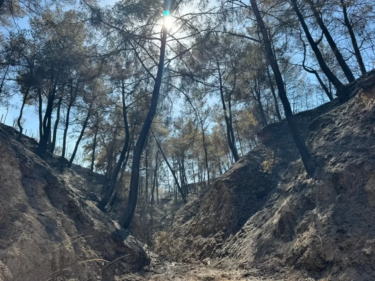 Evini yangından korumak için mücadele ederken kalp krizi geçirdi