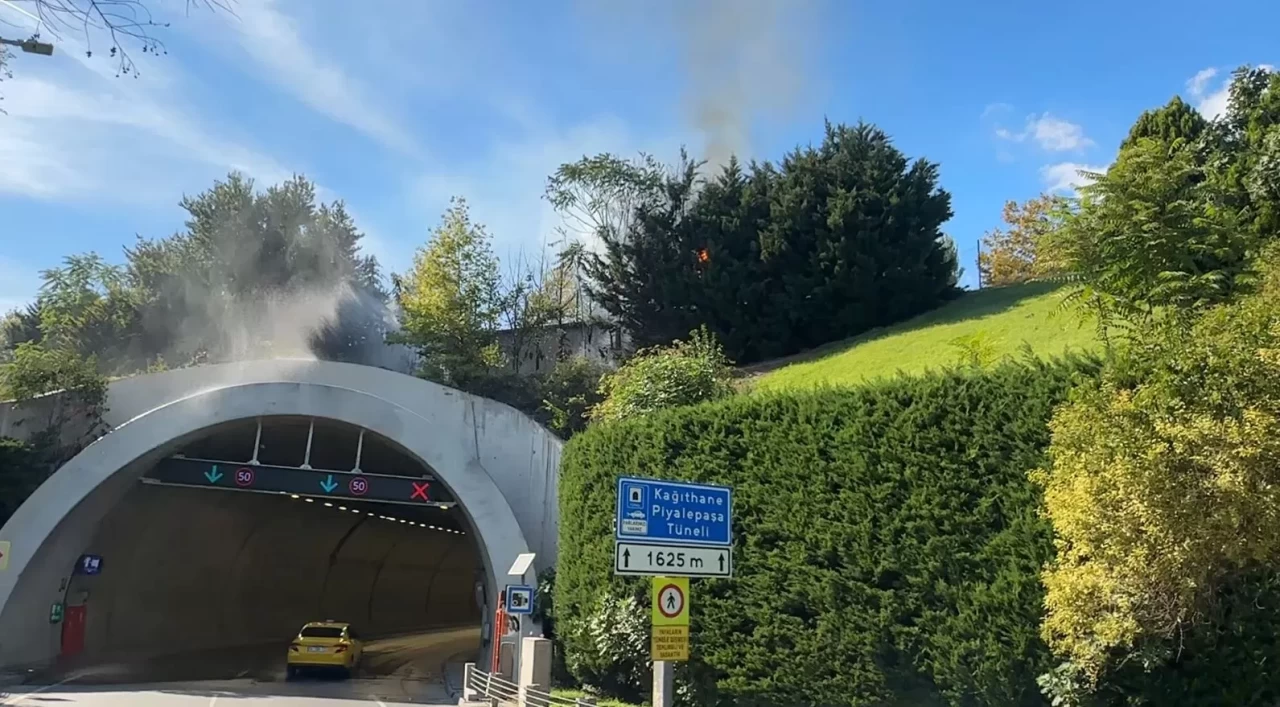 Kağıthane Piyalepaşa Tüneli'nin girişindeki ağaçlık alanda korkutan yangın