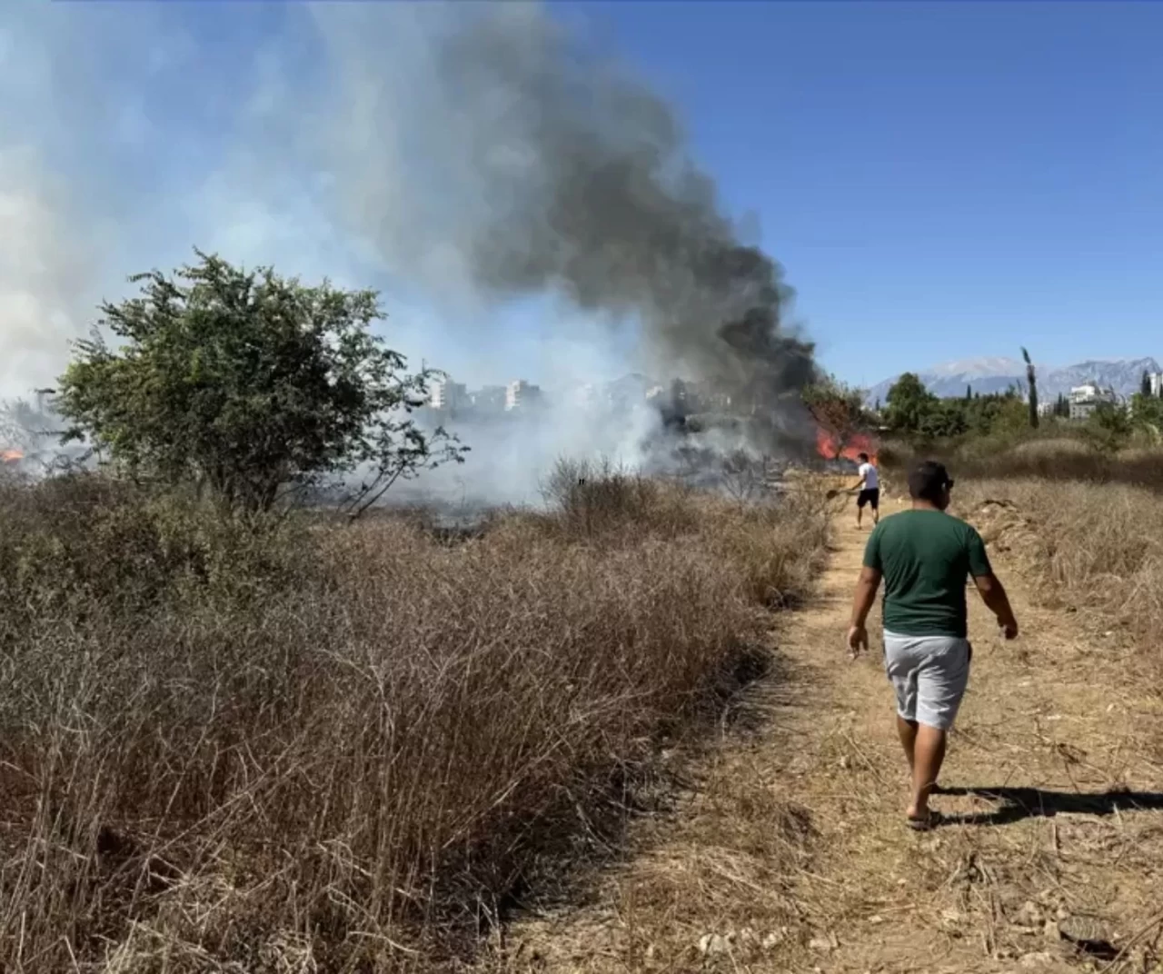 Antalya'nın Muratpaşa ilçesinde sazlık alanda çıkan yangın kontrol altına alındı
