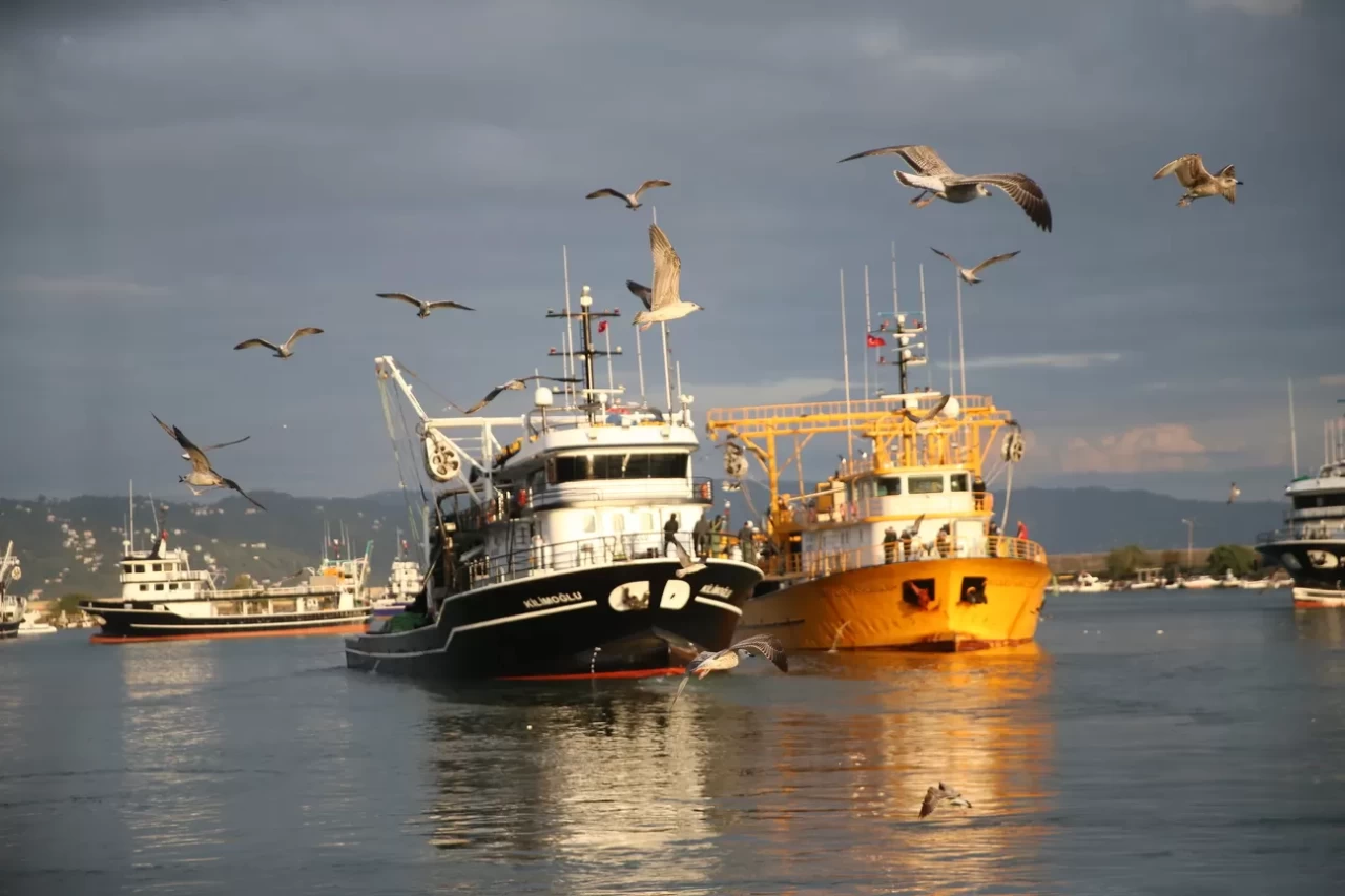 Karadeniz'de hamsi bolluğu balıkçıların yüzünü güldürdü