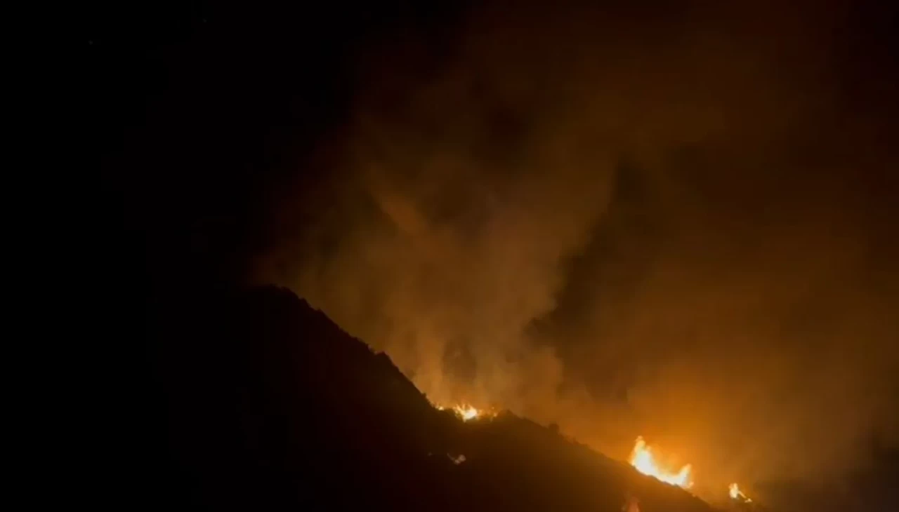 Elektrik tellerinden çıkan yangında ağaçlık alan alevlere teslim oldu