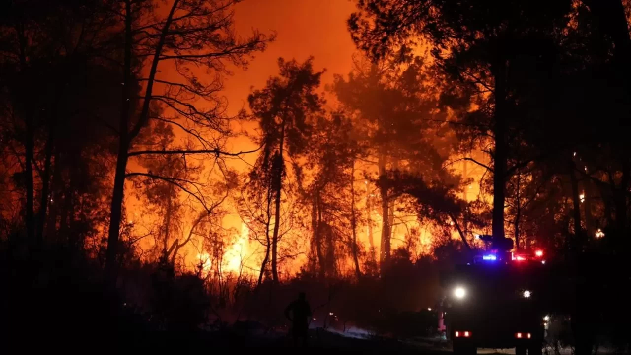 Antalya'nın Aksu ilçesinde orman yangını çıktı