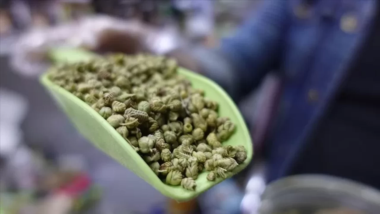 Kekik yağının gizli gücü! Mikroplara ve enfeksiyonlara karşı etkili