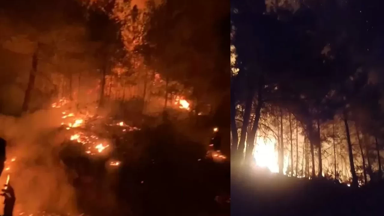 Gazipaşa'da ormanlık alanda çıkan yangın kontrol altına alındı