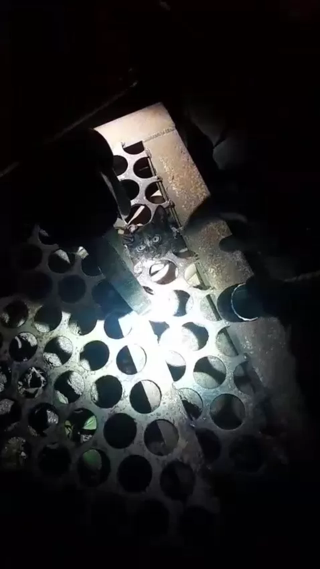 Zonguldak'ta yürekleri ısıtan kurtarma