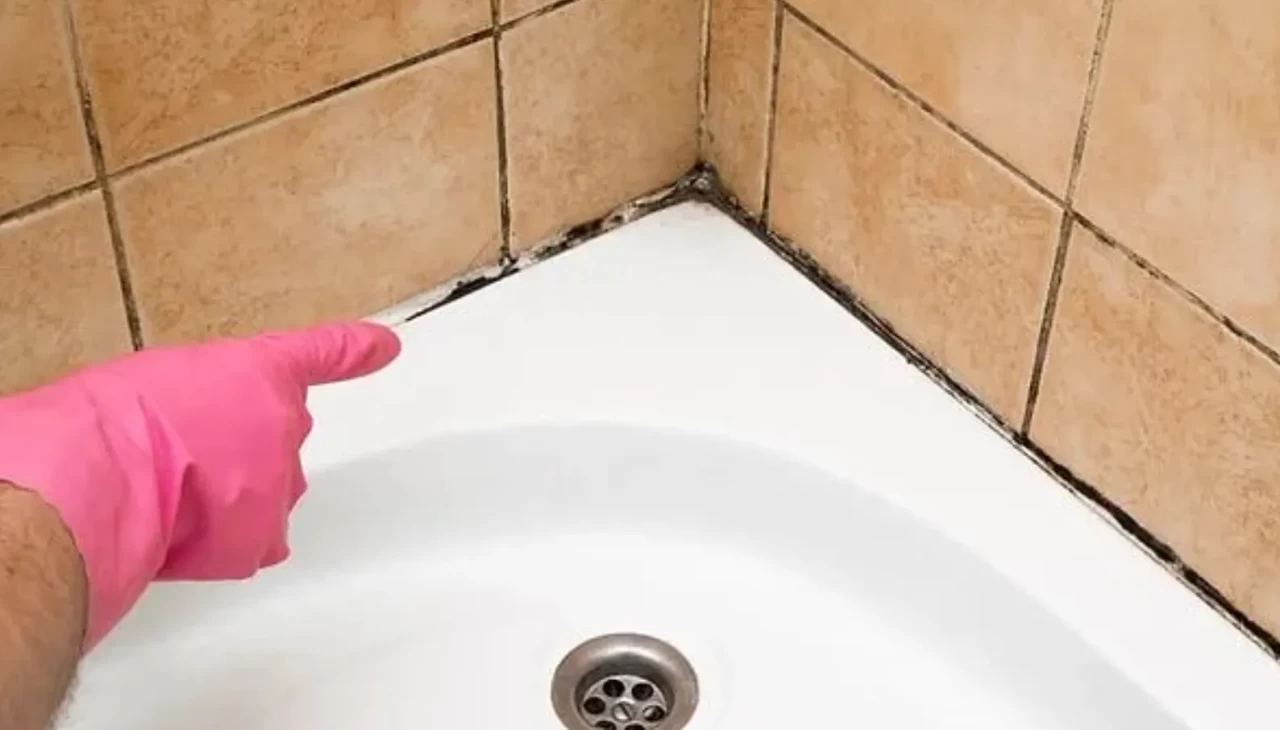 Sirke ve limonu unutturan formül! Banyodaki küfleri yok ediyor