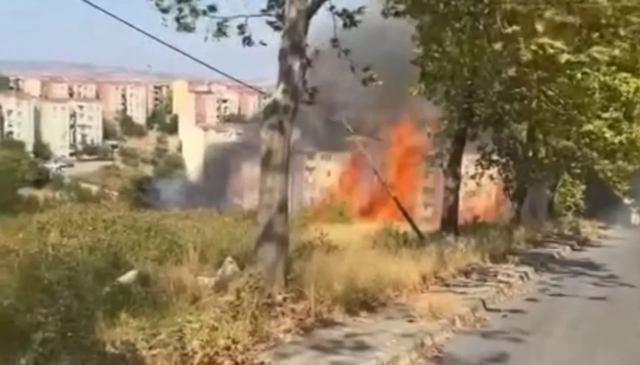 Bursa'daki ot yangını söndürüldü