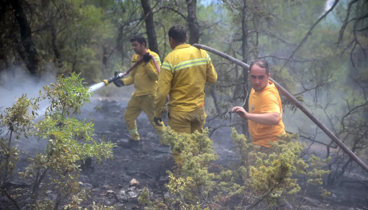 Kastamonu Valiliği'nden orman yangınlarıyla ilgili açıklama