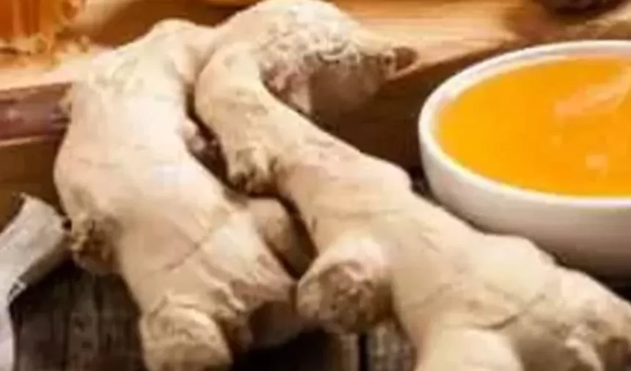 En güçlü antibiyotik etkisi gösteren 7 şifalı bitki