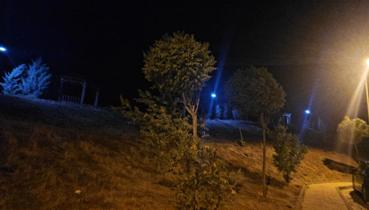 Elazığ'da kuvvetli rüzgar etkisini sürdürüyor