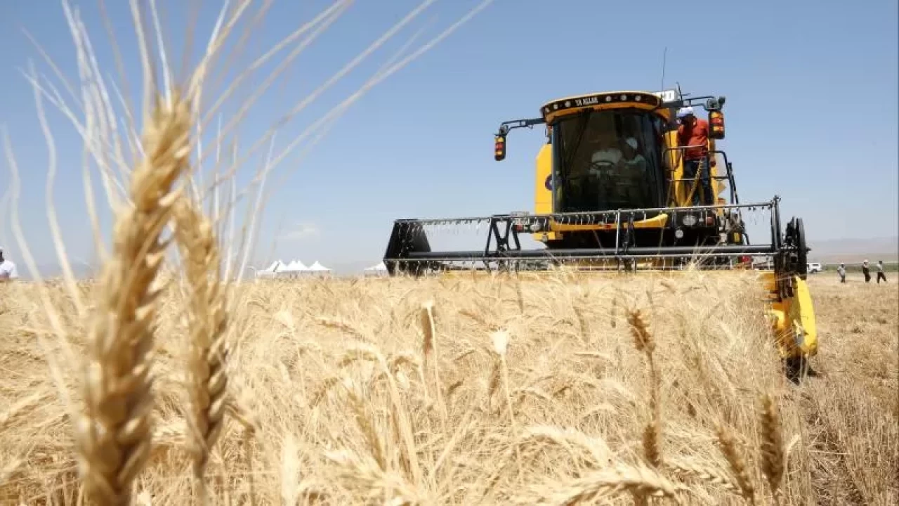 Hububat ihracatı 8 ayda 8 milyar doları aştı