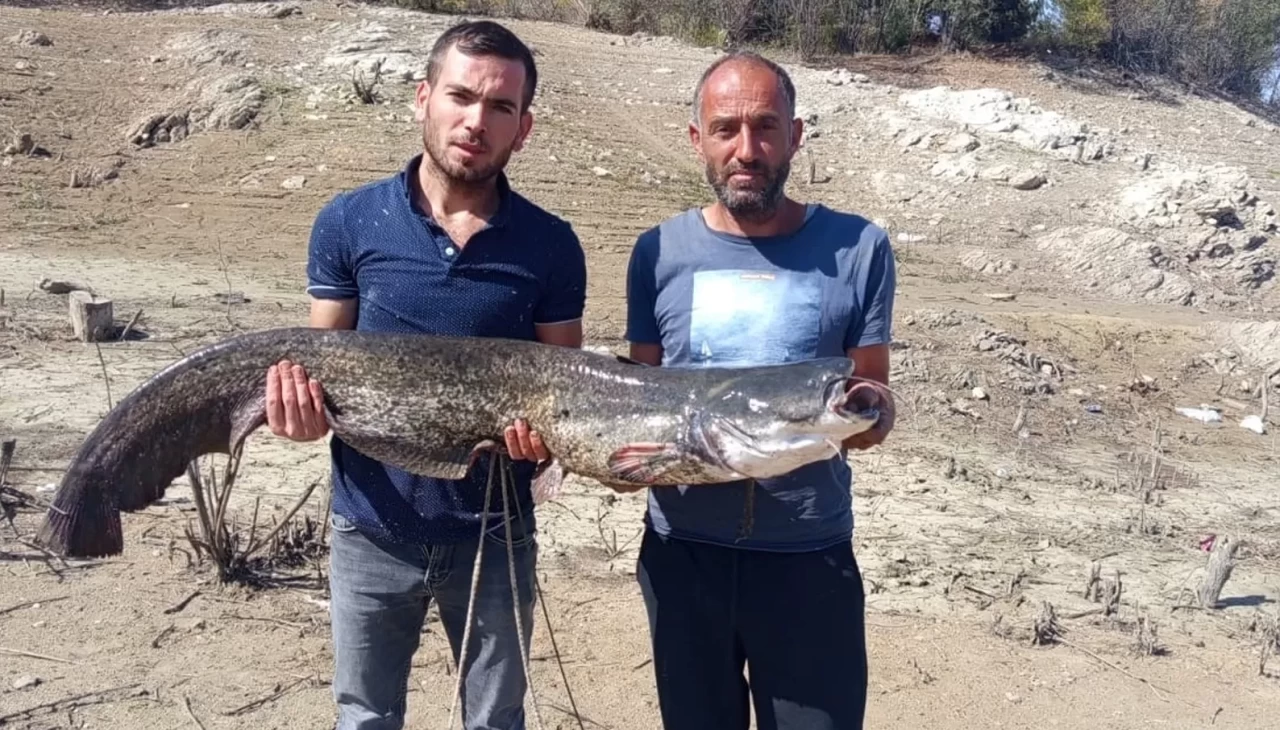 Baraj gölünde dev yayın balığı yakaladılar
