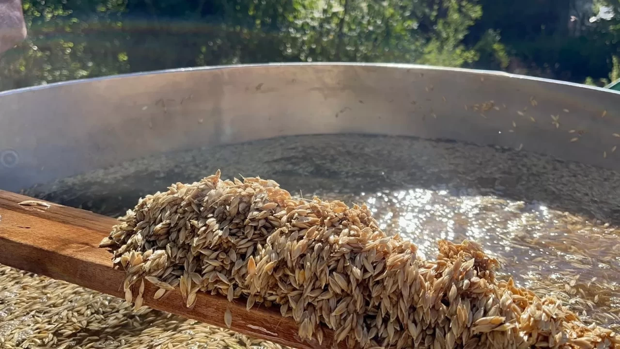 On iki bin yıllık siyezin hasadını tamamlayan çiftçilerin bulgur yapım mesaisi başladı