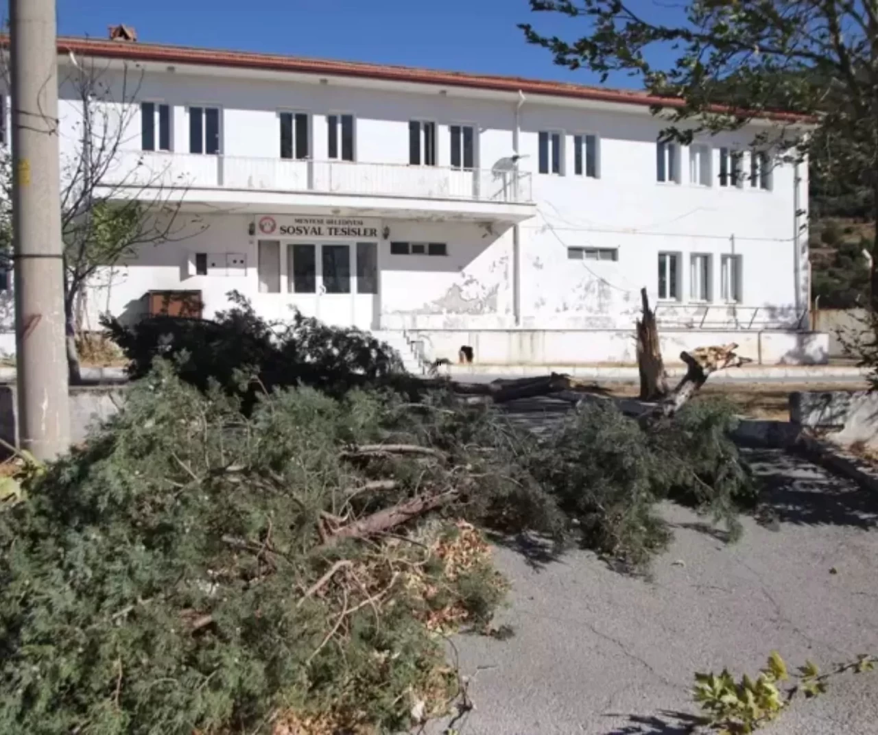 Muğla’da fırtına hayatı felç etti: Minare yıkıldı, çatı uçtu