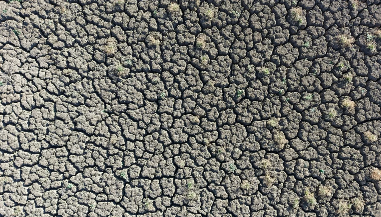 Kuruyan gölet sağanak yağışla yeniden doldu: Su seviyesi yüzde 50'yi aştı