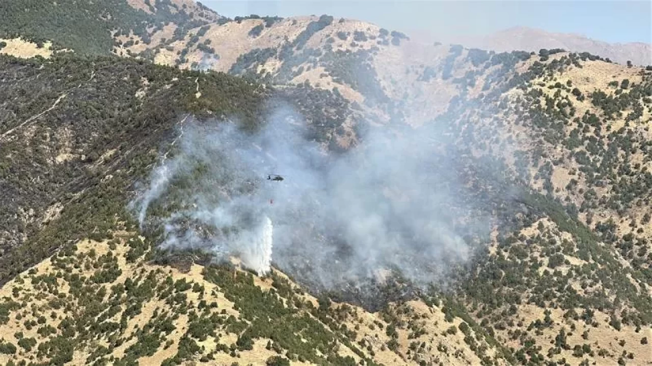 Hakkari'de ormanlık alanda yangın