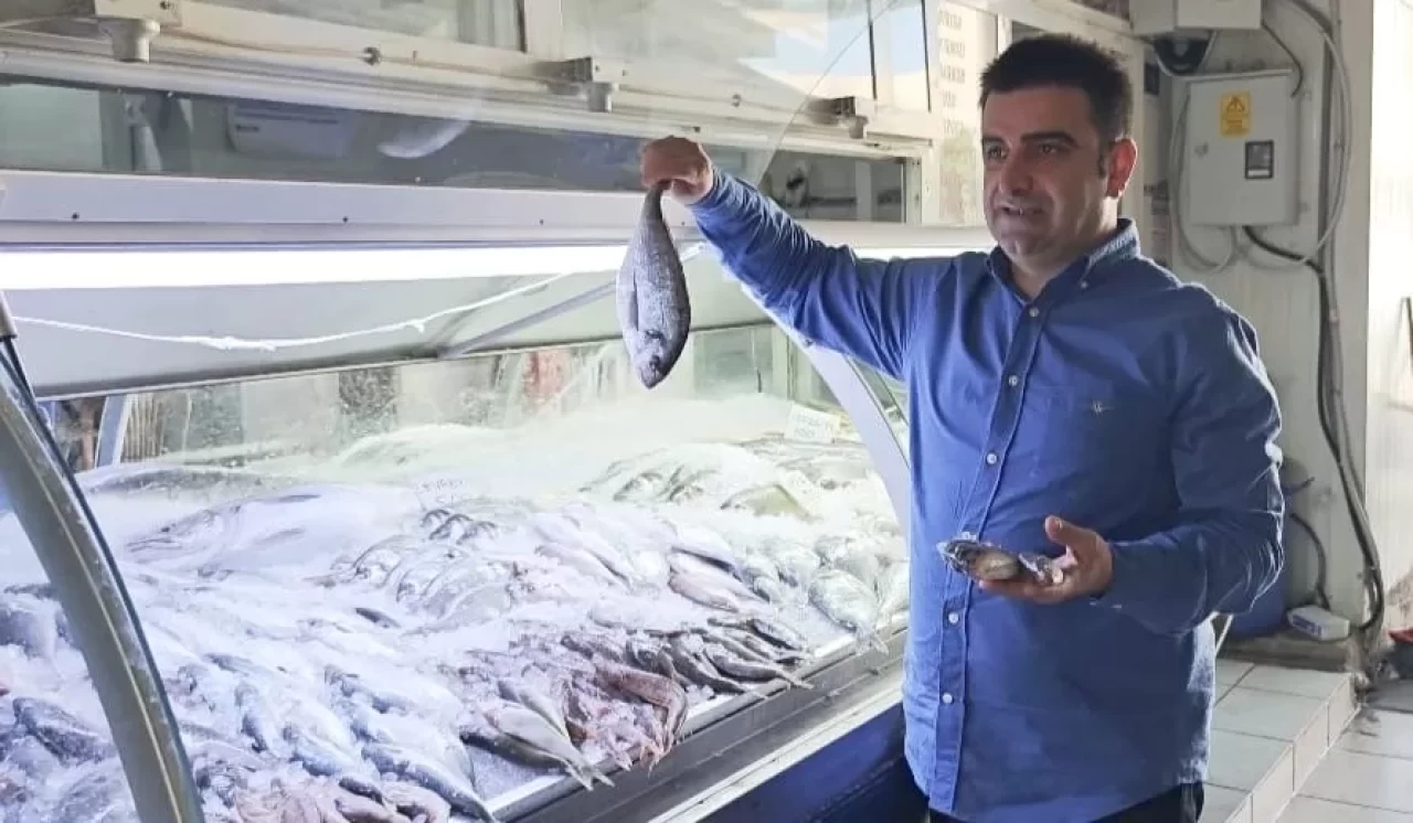 Balıkçılar "Vira bismillah" dedi