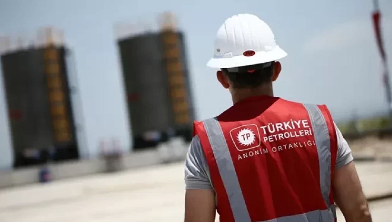 OVP'de ödenek rekoru: TPAO zirvede...