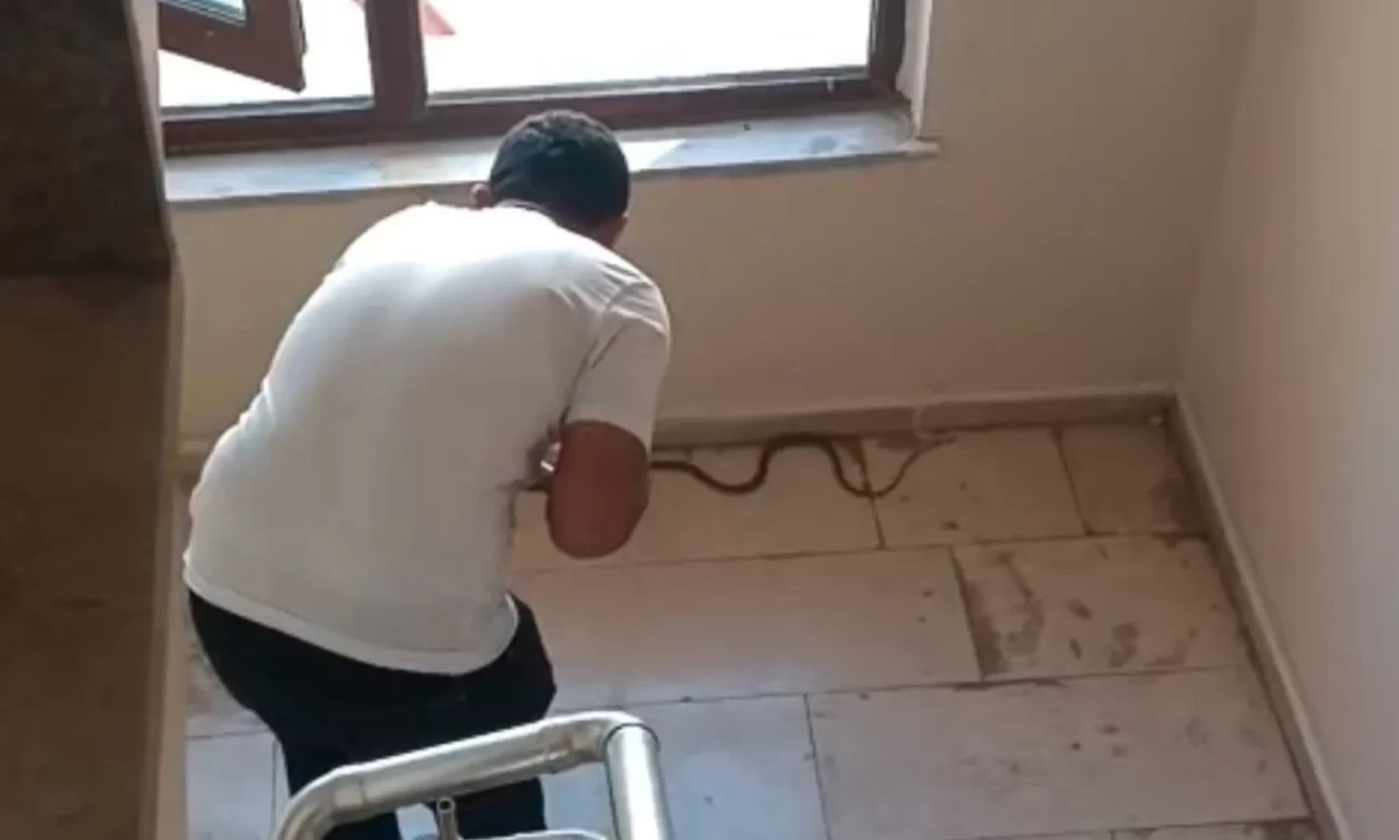 Şırnak’ta apartmanda yılan paniği