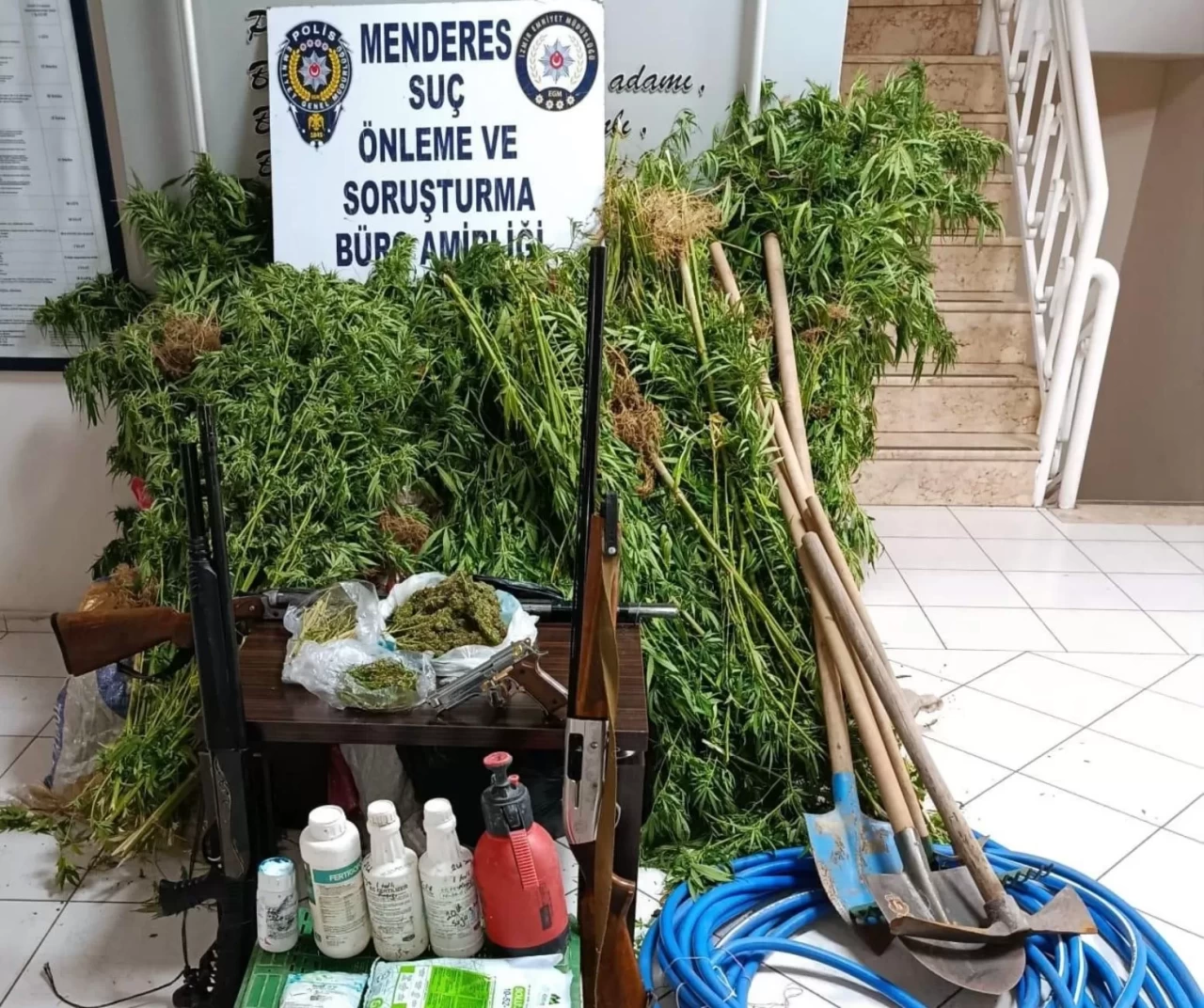 İzmir Menderes’te ormanlık alanda Hint keneviri operasyonu