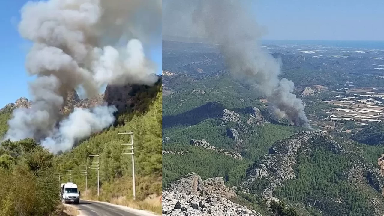 Serik'te ormanlık alanda yangın