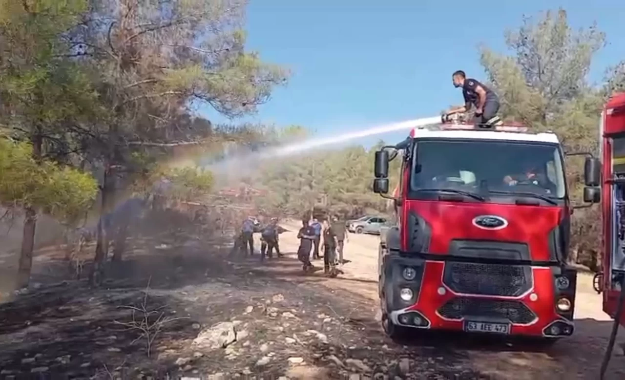 Şanlıurfa’da orman yangını