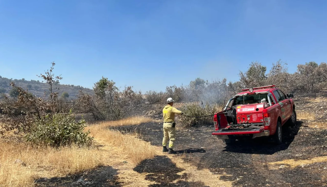 Mardin Savur’da orman yangını kontrol altına alındı