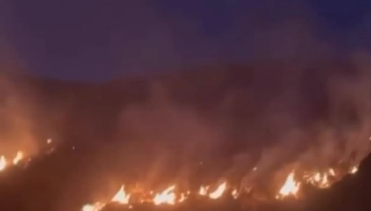 Erzincan’da çıkan örtü yangını kontrol altına alındı