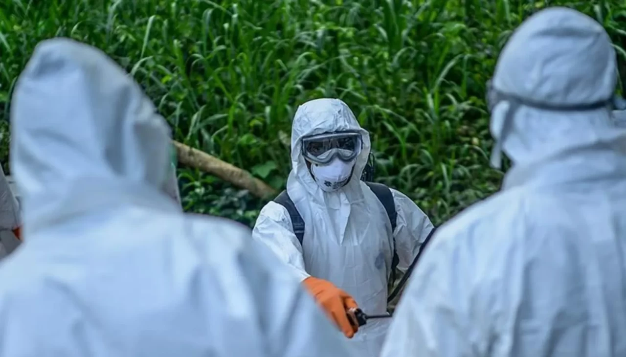 Salgından ölenlerin sayısı 15'e yükseldi! Kabus yeniden ortaya çıktı