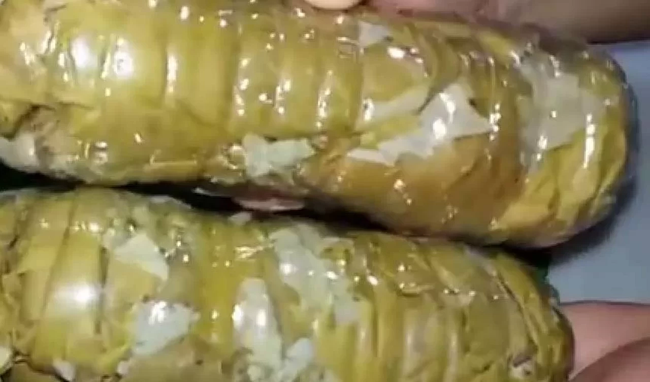 Asma yaprağı pet şişede nasıl saklanır?