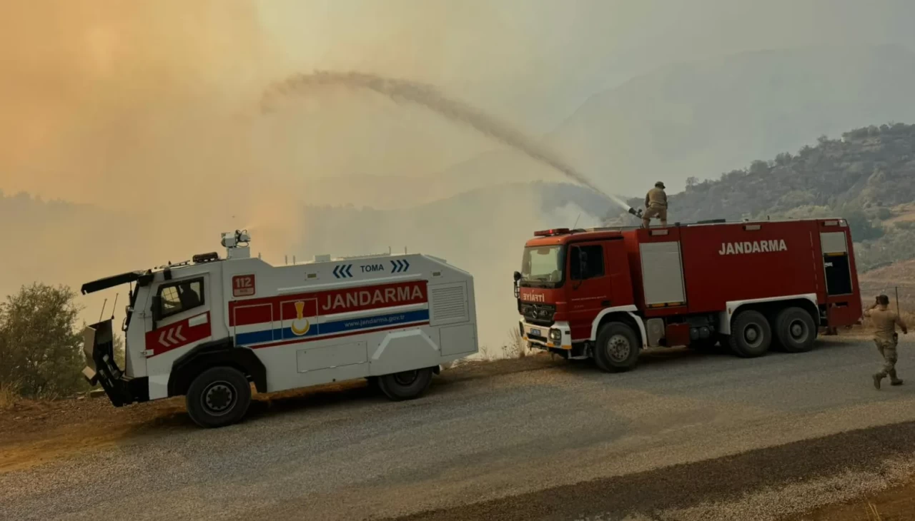 Alanya Kaymakamı Öztürk'ten ilçedeki yangınlara ilişkin açıklama