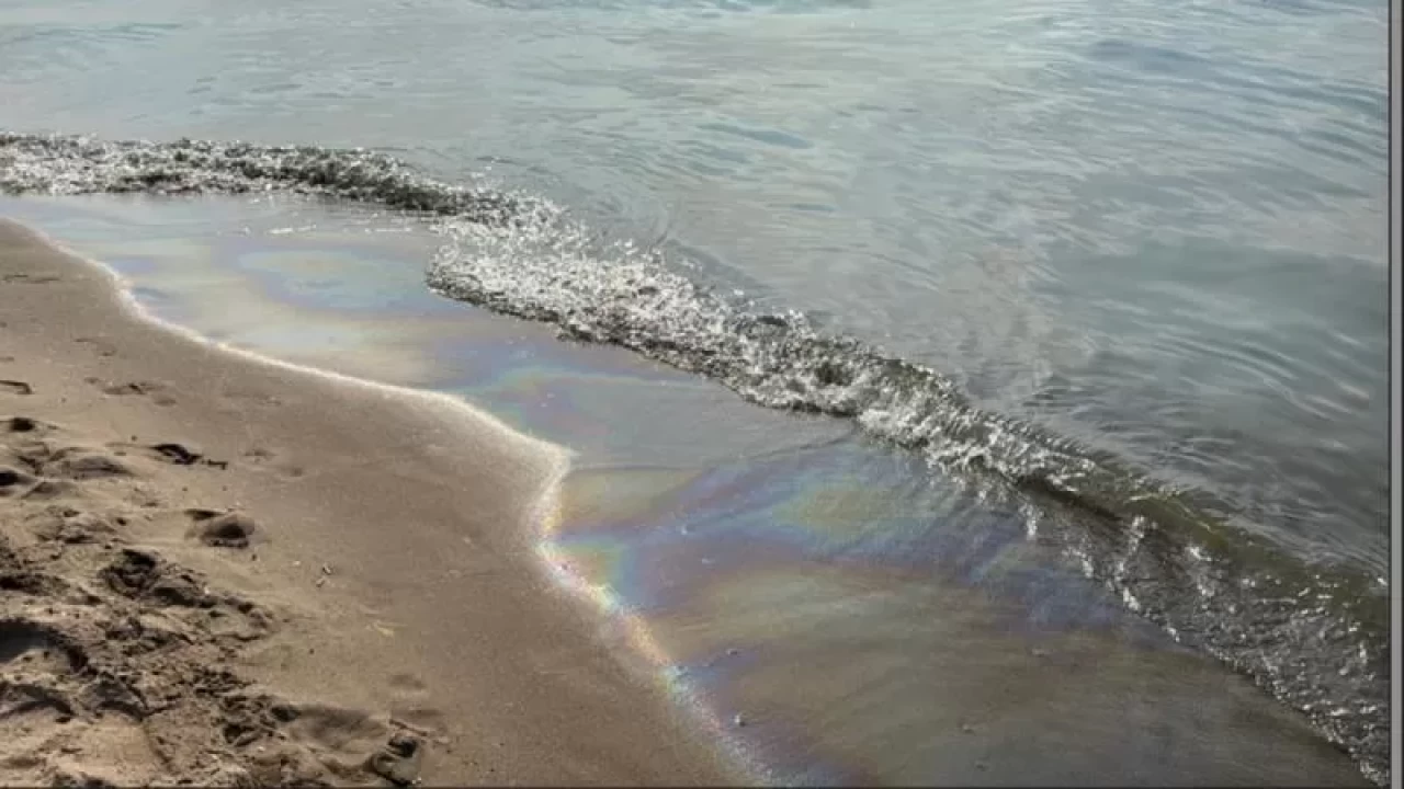 Bartın sahilinde mazot kirliliği! Sorumlu gemiye 10,9 milyon lira ceza