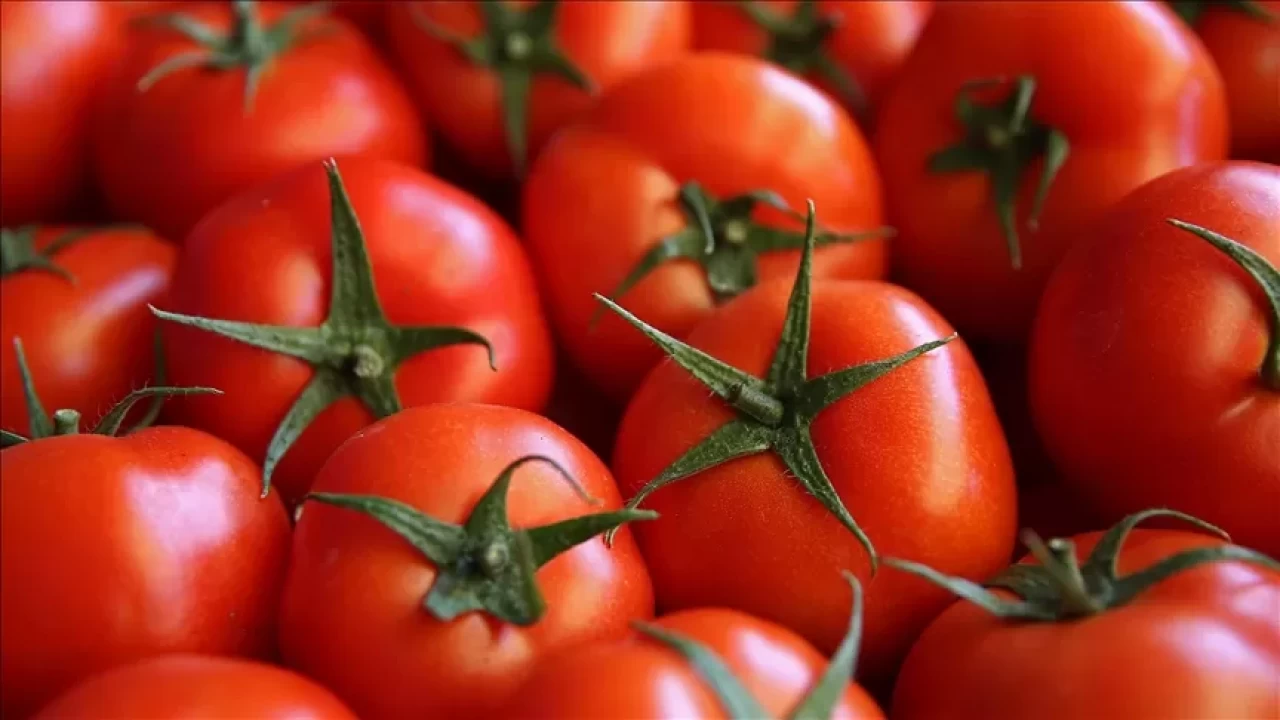 Domatesin fazlası sağlığı tehdit ediyor