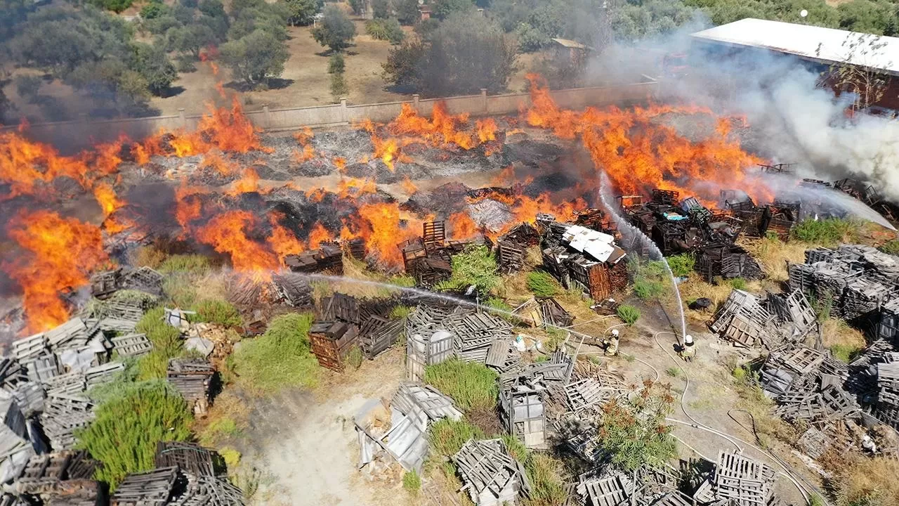 Manisa'da palet fabrikasında yangın: Alevler ağaçlara da sıçradı