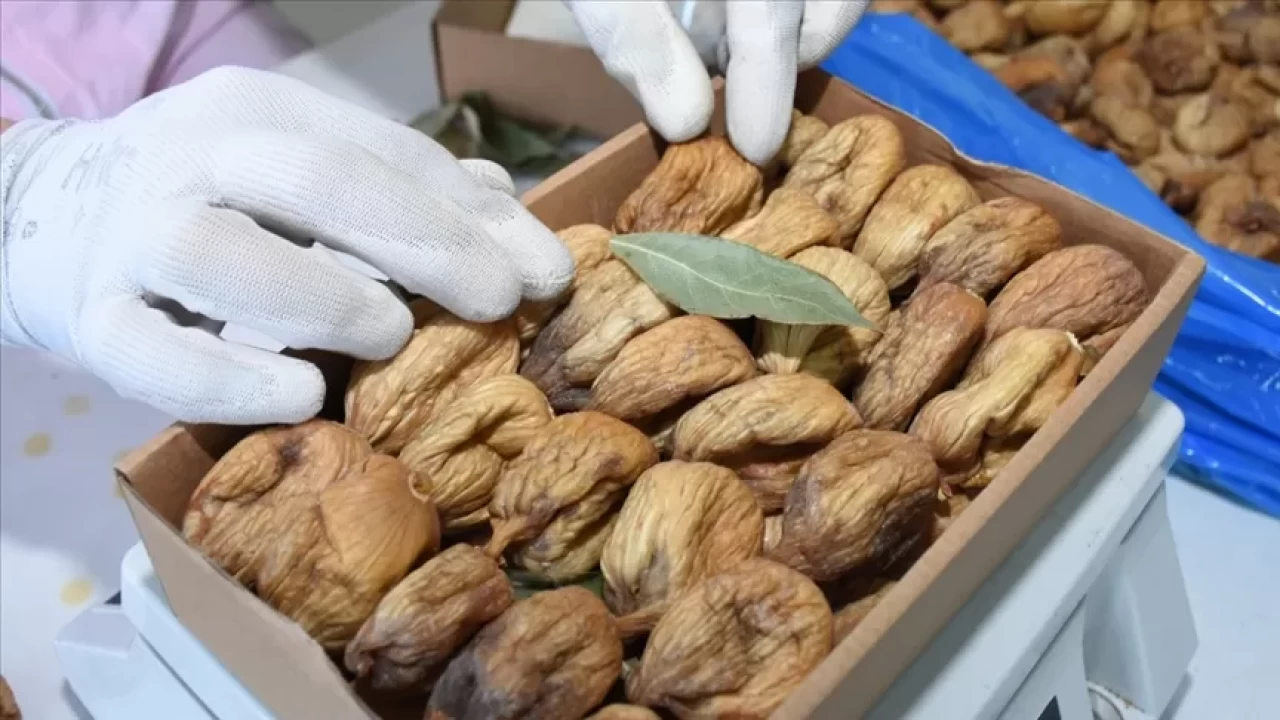 Kuru incir derin dondurucuda nasıl saklanır?