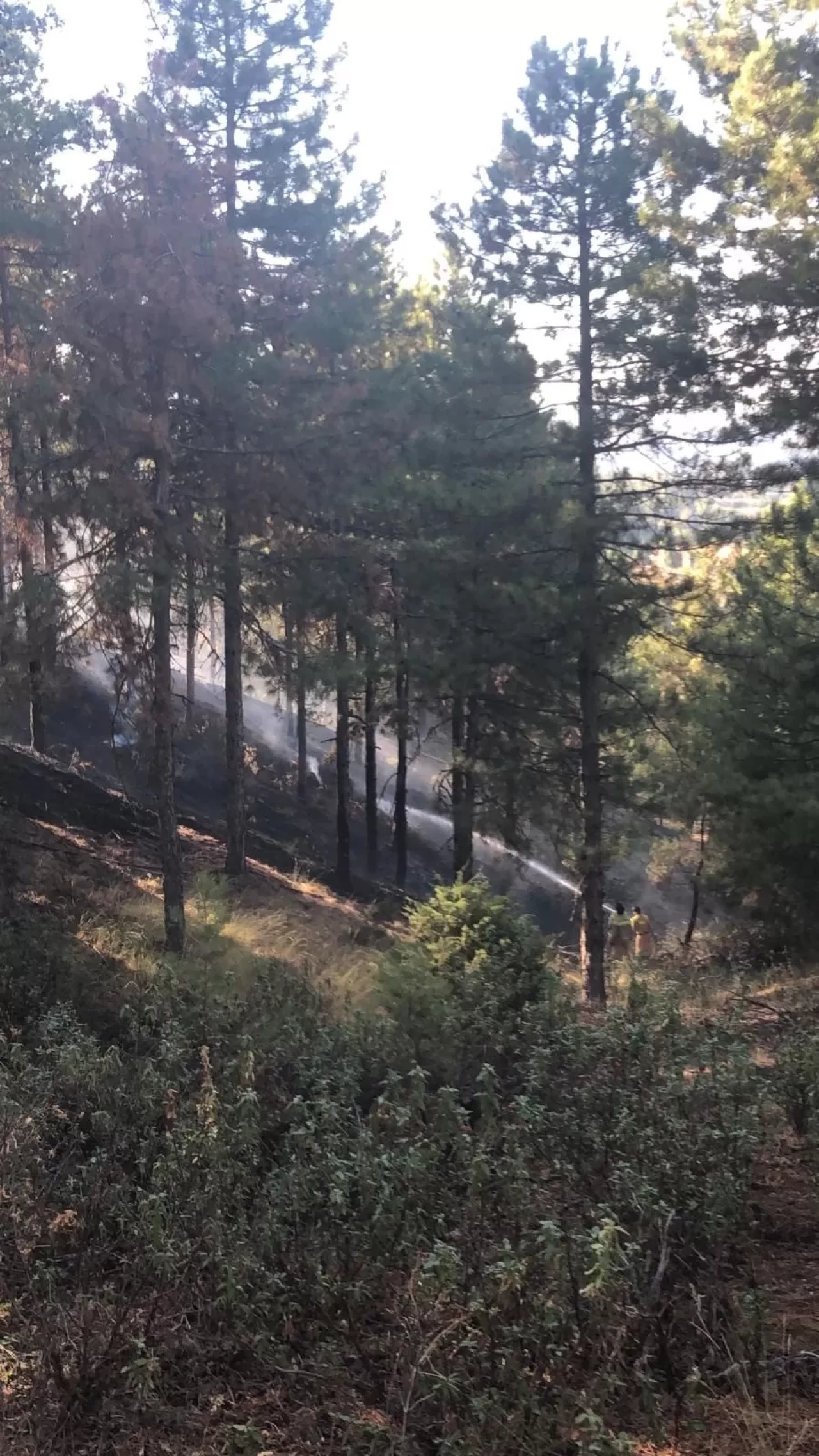 Denizli'deki orman yangını kontrol altına alındı