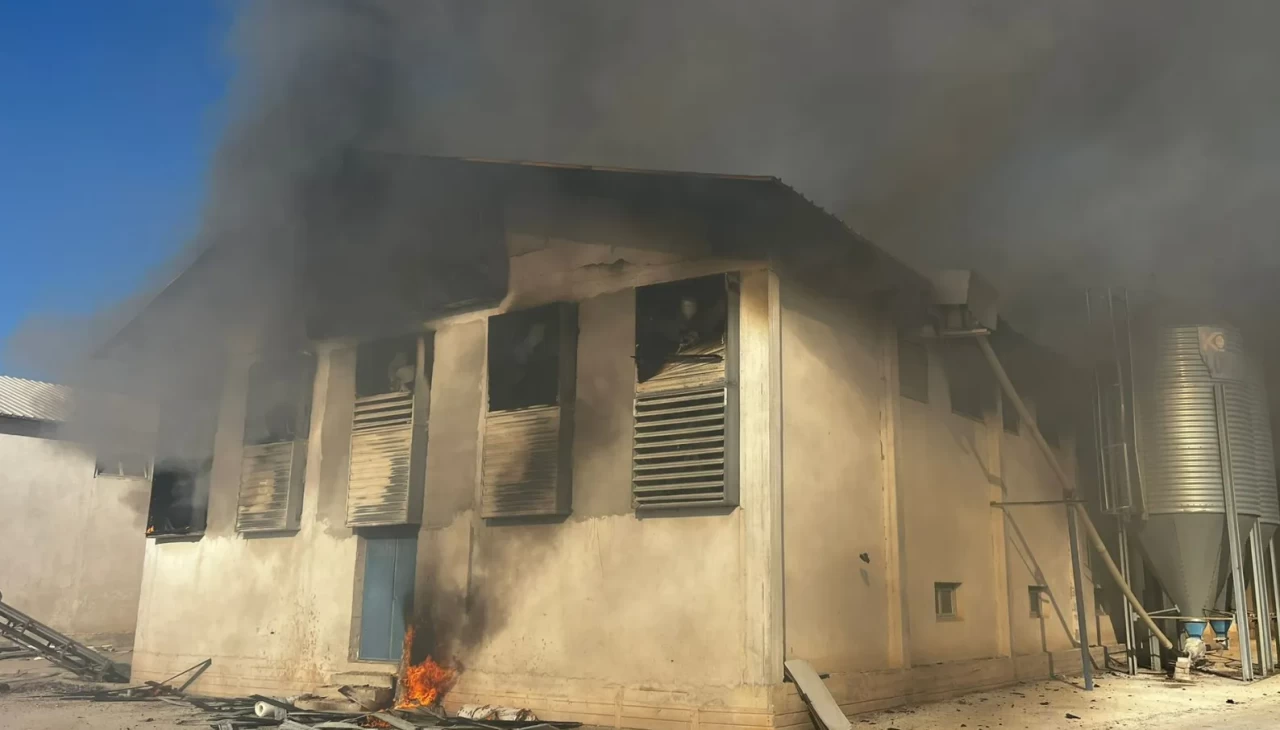 Afyonkarahisar'da tavuk çiftliğinde yangın