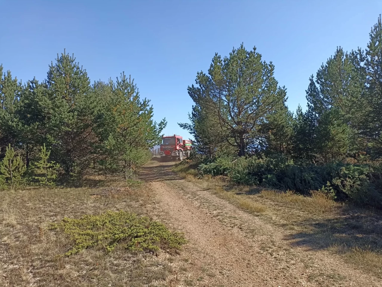 Kastamonu'da orman yangını: 10 dönüm alan zarar gördü