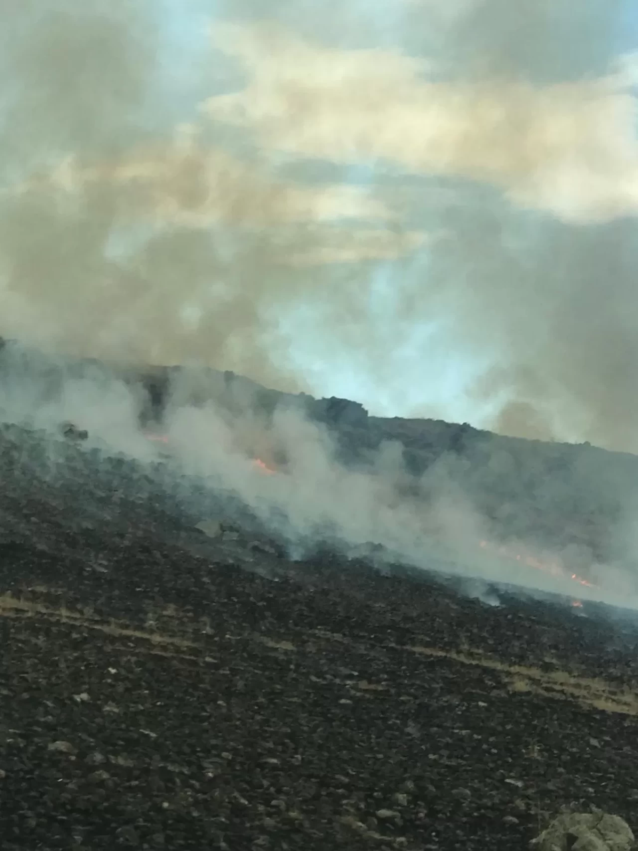 Kars'ta askeri tatbikat alanında çıkan anız yangını söndürüldü
